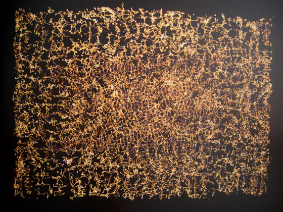IMG_7899 Visualisations of sound.